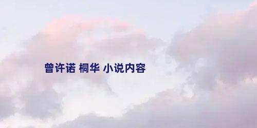 曾许诺 桐华 小说内容